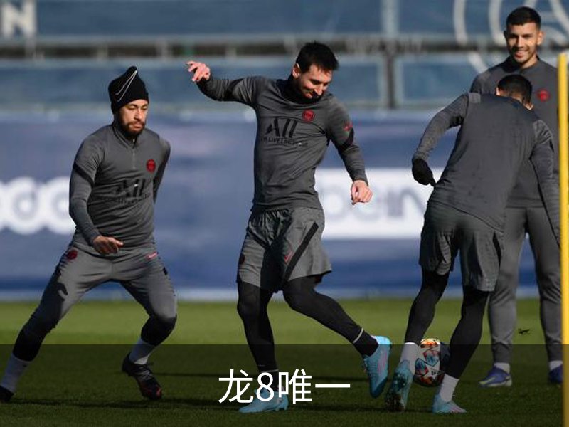 龙8唯一概况